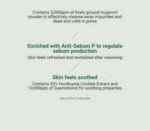 ANUA Heartleaf Quercetinol Pore Deep Cleansing Foam